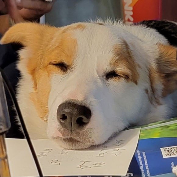 Information about my Poshmark Closet - Picture 6 of 6